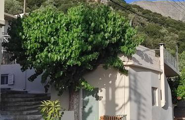 Endiktis Art Home Katofigi - Foto 29