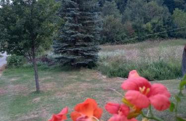 Apartman Sveti Rok - Foto 18