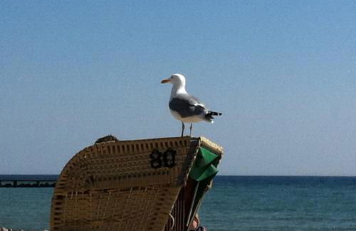 Sonnentraum in bester Lage - Foto 32