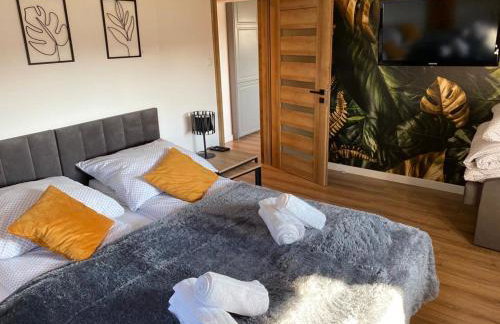 Apartament nad Szczawniczkiem - Foto 2