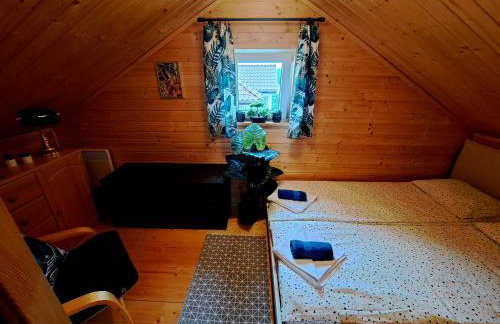 Noclegi "LAS WYPAS" Trzcianka - Foto 77