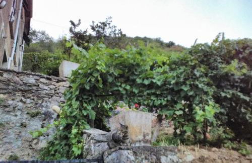 Casa Quaratica - Foto 68