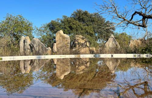 Monte das Estrelas - Foto 26