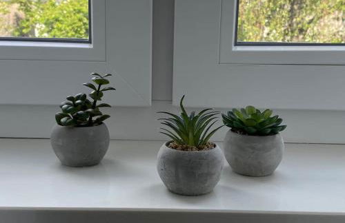 Apartment Nr. 3 Bad Laasphe Altstadt - Foto 6