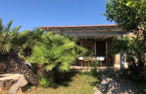 NicChia Turchese - Foto 7