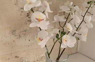 Dimora Pugliese - Foto 32