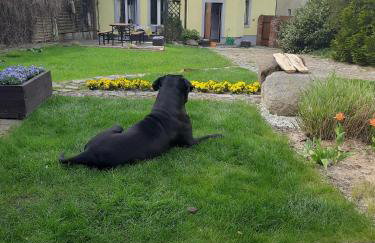 Sielanka Gardna Wielka - Foto 36