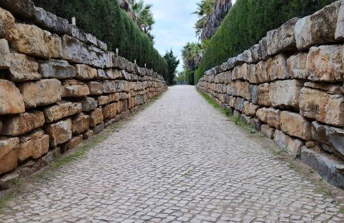 Herdade dos Salgados - Foto 77