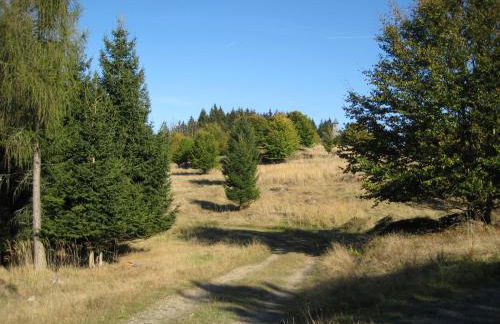 HuizeFrankenau - Foto 30