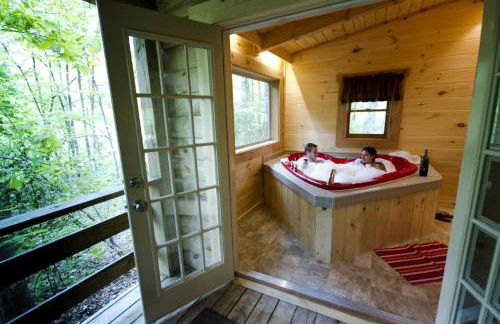Rustic Cabin Rental in the Forest near Charleston, West Virginia - Foto 5
