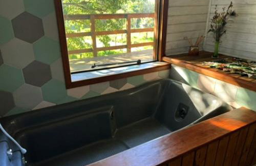 Cabana do Lago- Morro da Borússia - Foto 29