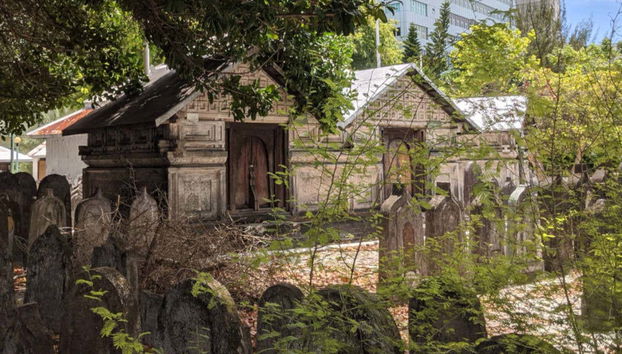 Malé Guided Tour - Foto 4