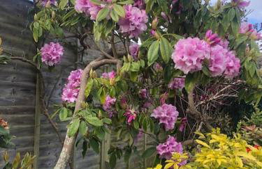 Coastal Haven - Foto 39