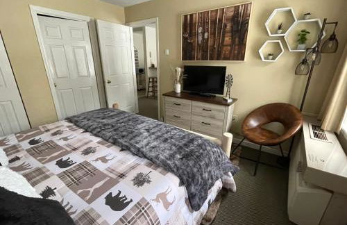 Mountain View Suite Sleeps 4 Ski OnOff Jiminy Peak - Foto 4