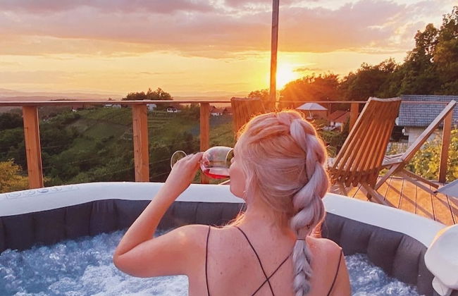 Vineyard cottage Soncni gric - Foto 29