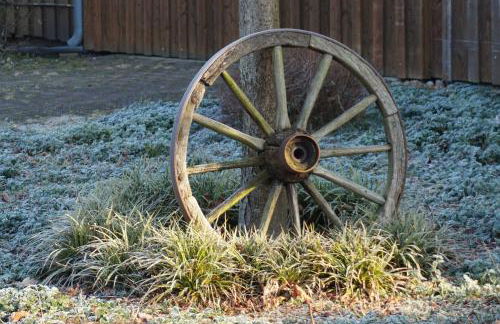 Ferienwohnung Wiesenblick nahe Region Celle und Hannover - Foto 26