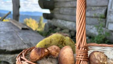 Osada Foltynówka - Foto 2