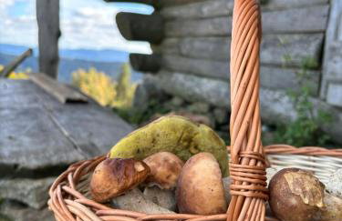 Osada Foltynówka - Foto 2