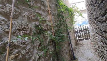 il fait bon vivre classé 3 étoiles - Foto 4