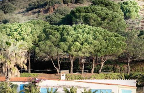 Vue mer, crique de Peyrefite, Cerbère-Banyuls. - Foto 67