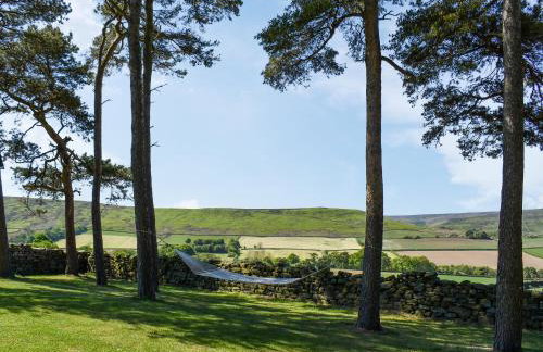 Barn Owl Hut - Uk49769 - Photo 2