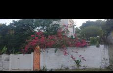 Loft Chacara Perô natureza - Photo 1