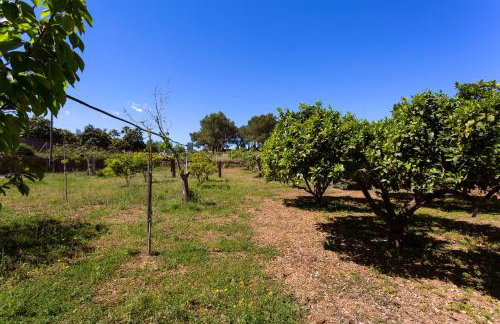 Sa Caseta - Photo 15