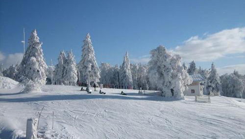Ferienwohnungen Kricklsäge - Foto 2