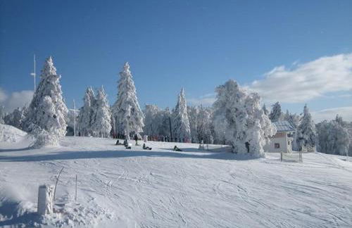 Ferienwohnungen Kricklsäge - Foto 2
