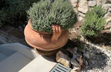 Bonvivan House - Photo 29