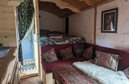 roulotte à la mauvaise herbe - Foto 10