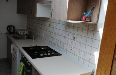 Apartman Kopriva - Photo 11