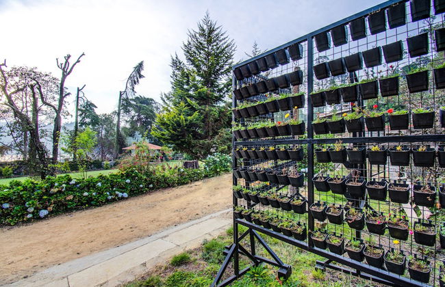 Misty Cove One - Foto 16