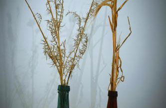 Aljibe Morisco - Casa Rural - - Foto 81