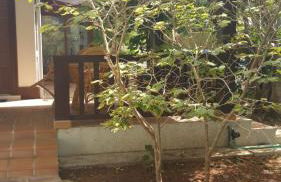 Villa Chabola - Foto 7