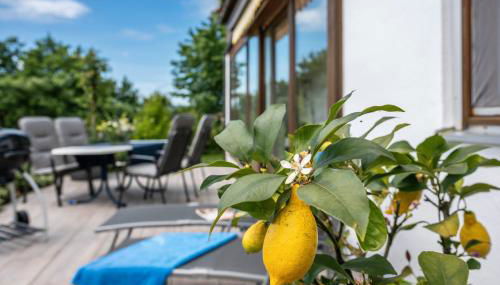 Ferienwohnung Köberich - Photo 3