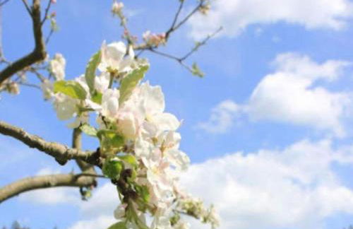 Lakeside Family Escape - Foto 40