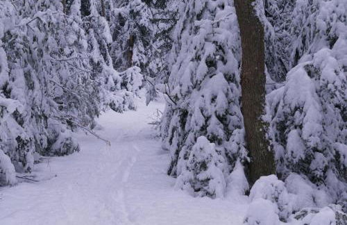 Le Grand Petit Prince - Domaine de Charme - Jacuzzis privatifs - Foto 74