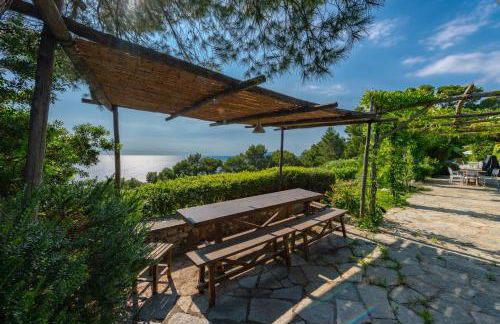 Il Carrubo Capri - Foto 32