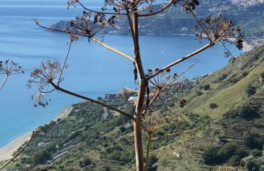 THE SECRET GARDEN - Foto 57