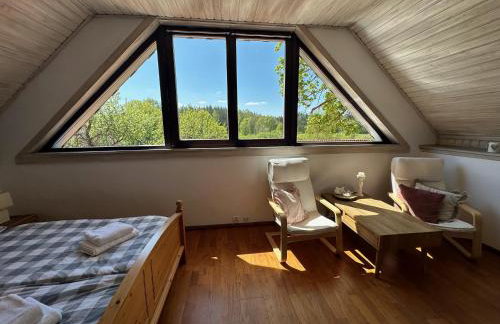 Stajnia Lipowo 45 - Foto 61