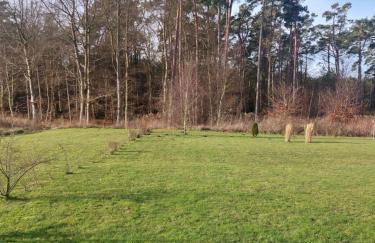 Strandläufer - Foto 14