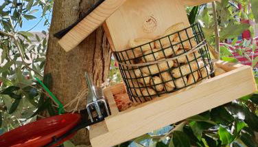 Casita Esperanza - Foto 3