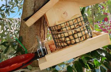 Casita Esperanza - Photo 3