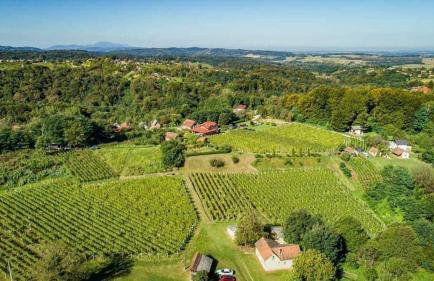 STRUČIĆ WINERY ESTATE - Foto 18