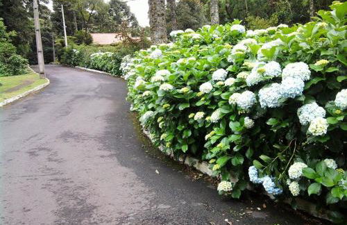 Chalé Vale do Bosque - Foto 24