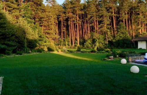 Willa przy lesie - Foto 2