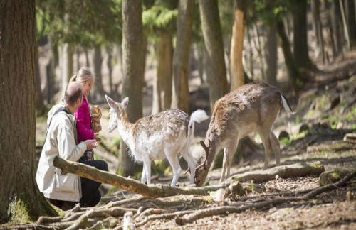 Holiday Home in Grand Est - Foto 4