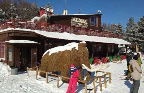 Guest house Elatochori - Foto 46