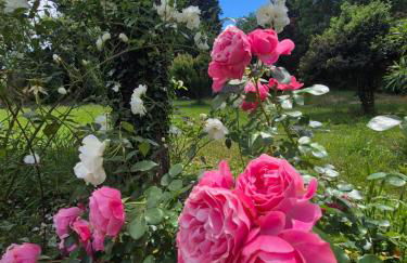 Sublime Mas de Lou à 15 minutes d'Arles - Foto 59